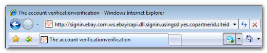 ie-ebay-wildcard-url.png